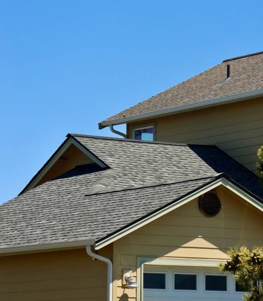 Best Steel Roofing  in Freeman, SD